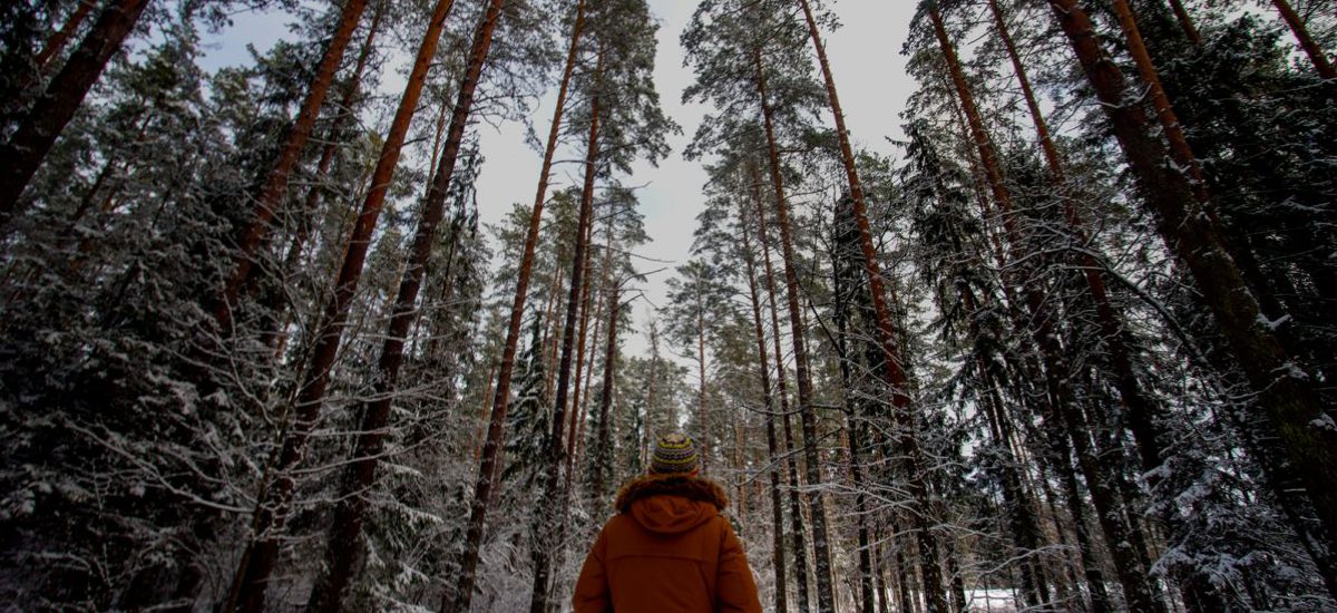 Finlandia i Podlaskie: Zobacz 10 uderzających podobieństw