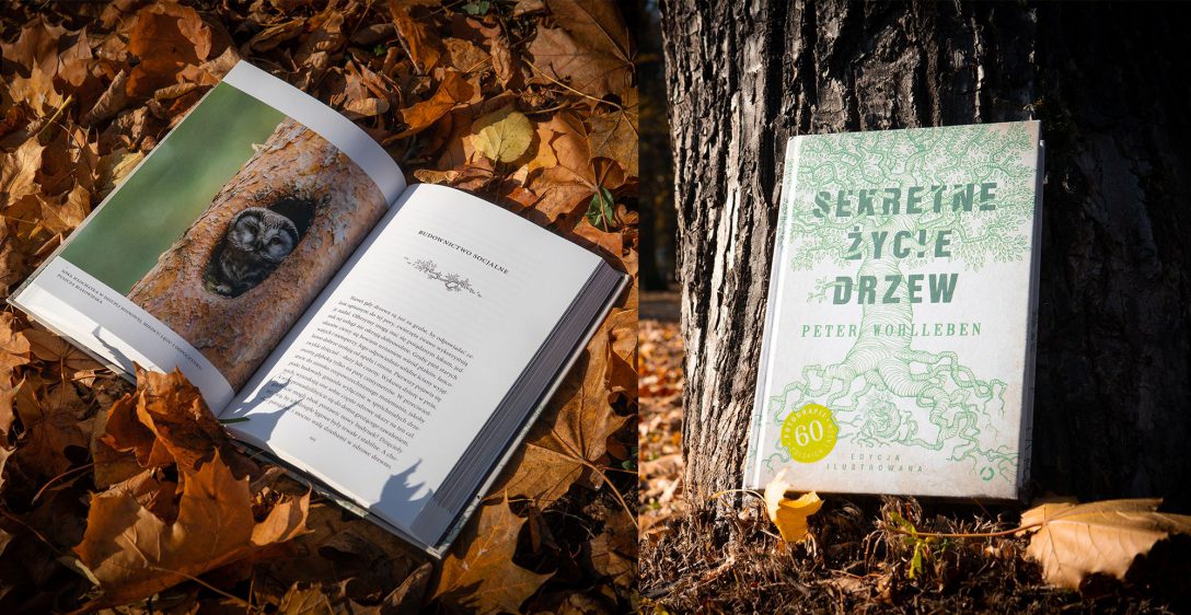 „Sekretne życie drzew” - Peter Wohlleben / Wydawnictwo Znak